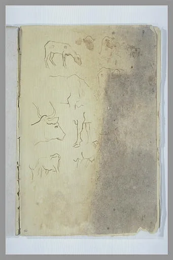 Etudes de vaches et de moutons