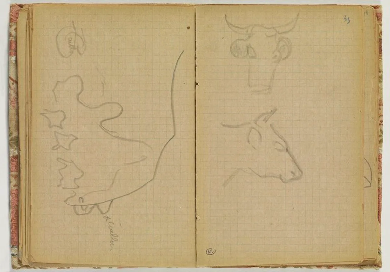 Croquis de têtes de vaches