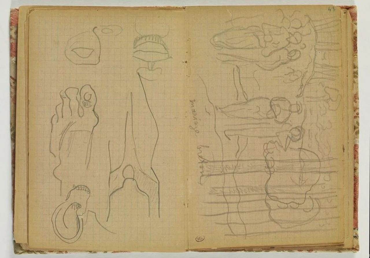 Croquis de pied, d'oreille
