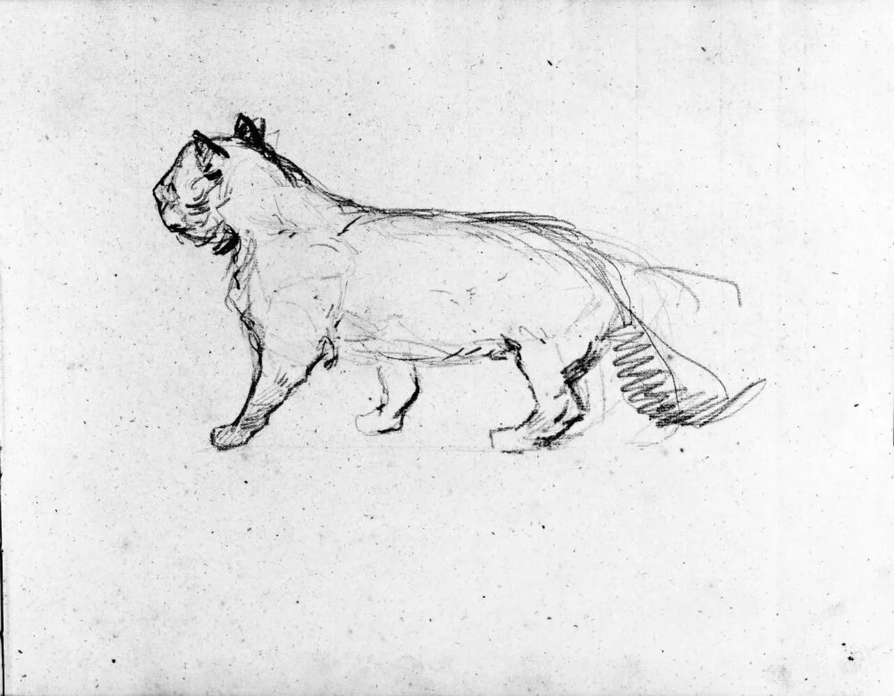 Gående katt. Blad 34 i skissbok om 36 blad