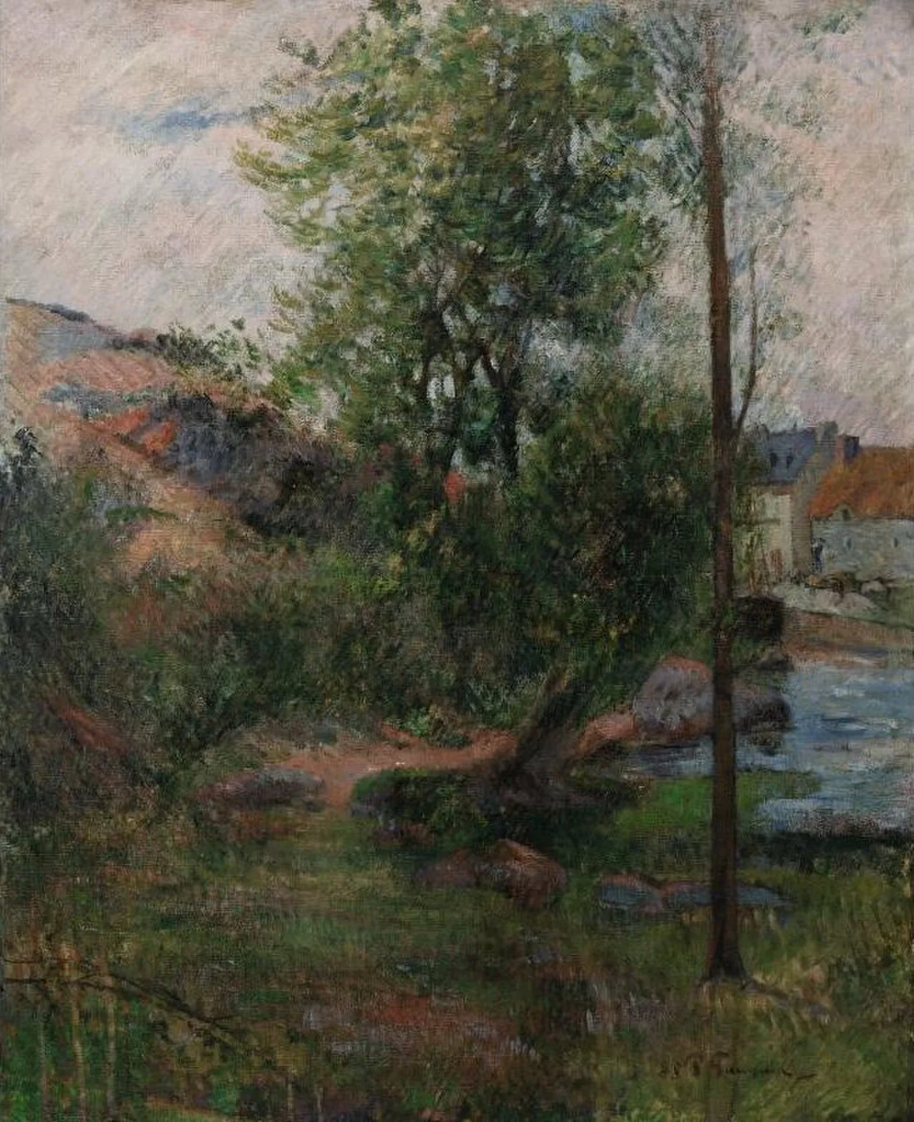 Willow by the Aven