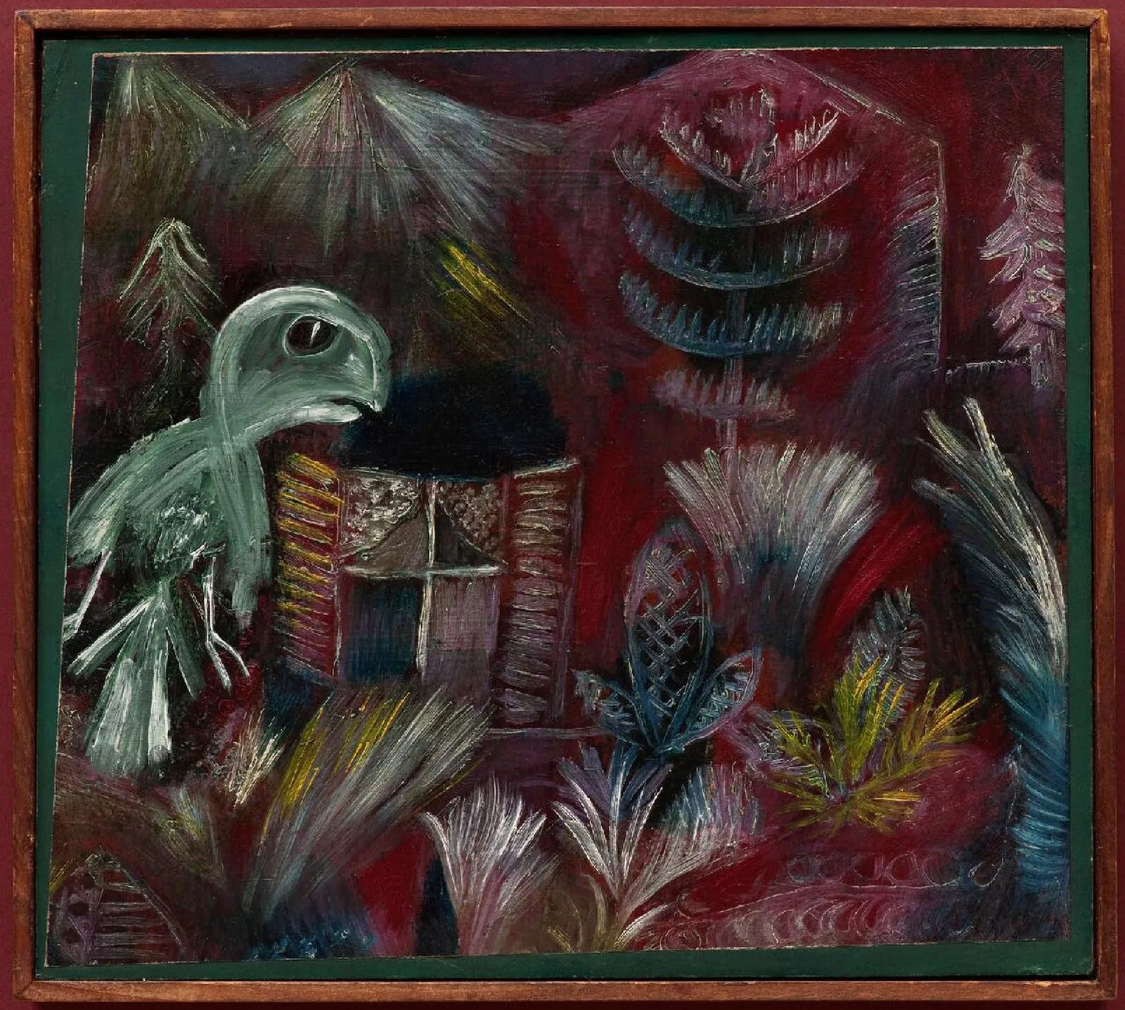 Tropical Dawn with the Owl