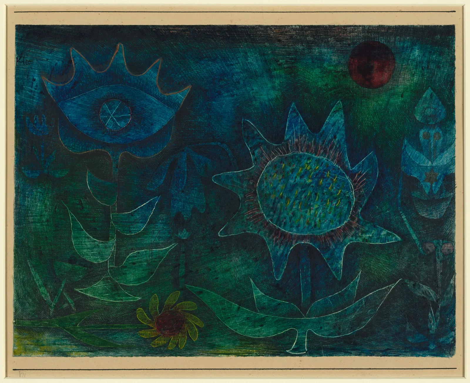Blüten in der Nacht
