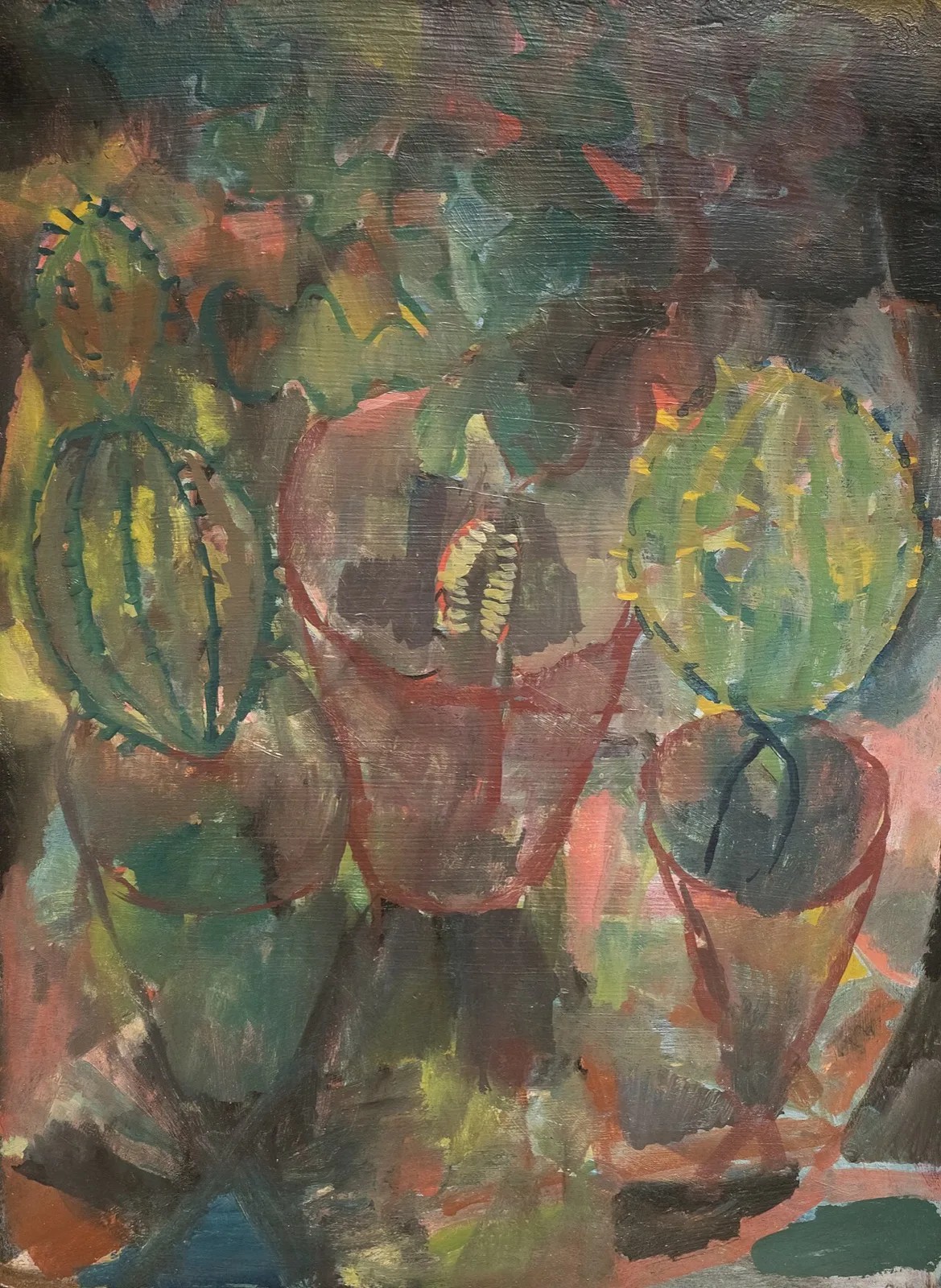 Cacti