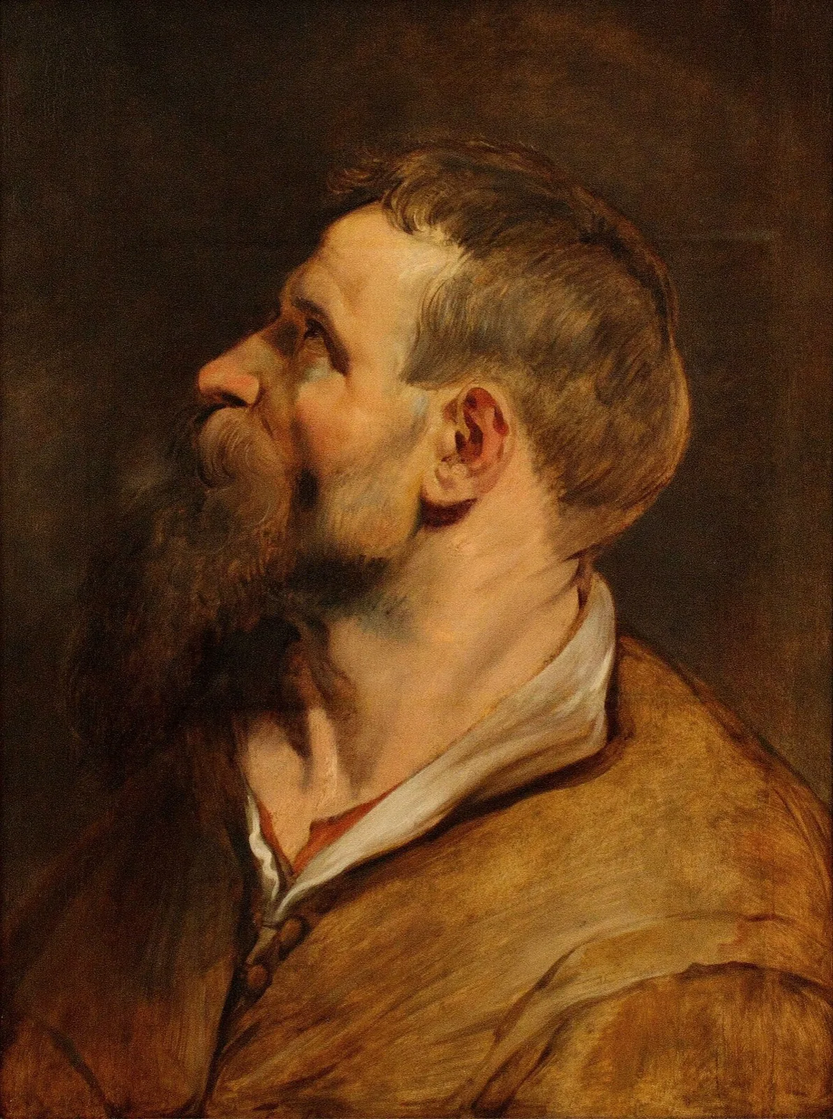 Head of a bearded man looking left