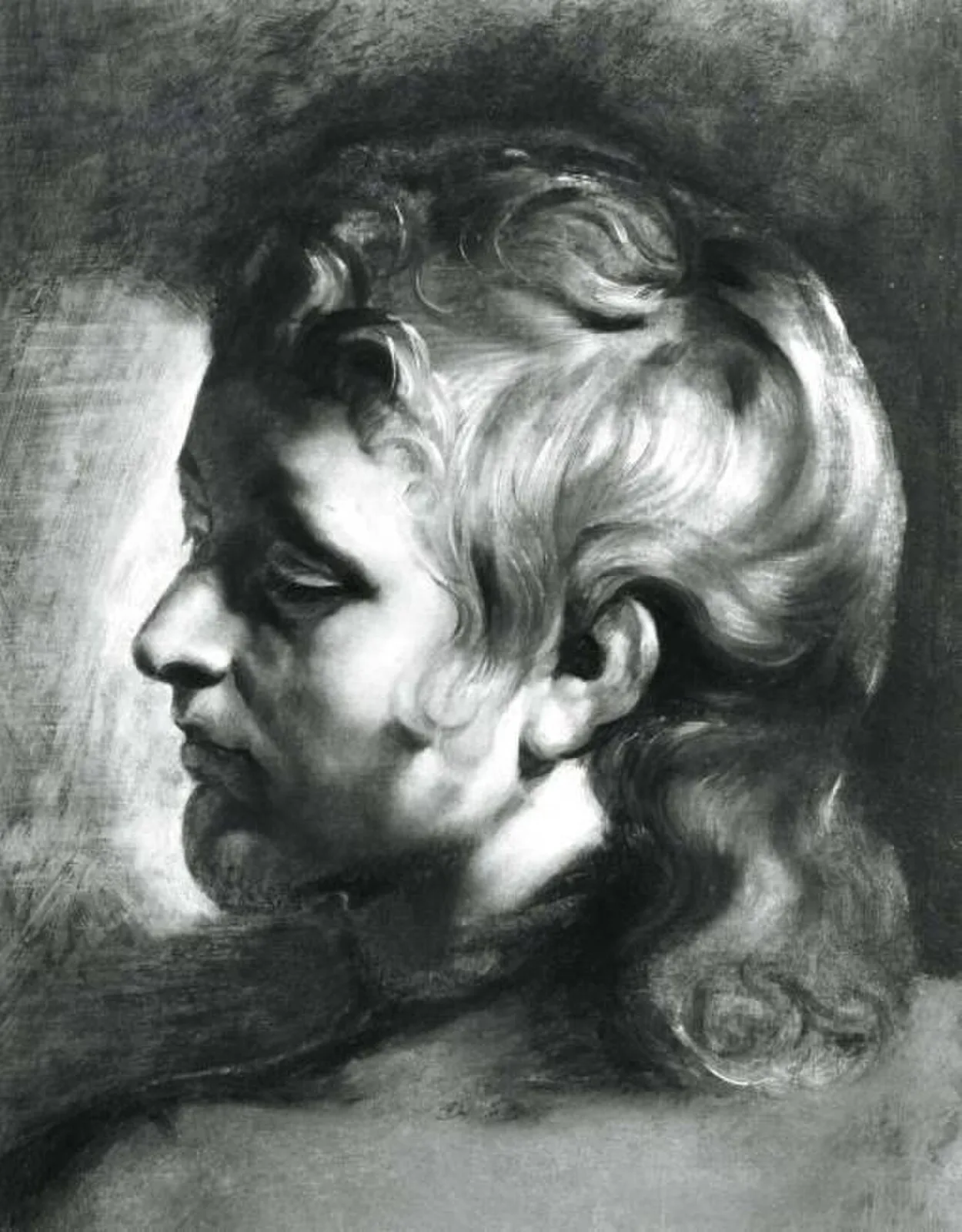 Study of the head of a young man turned to the left