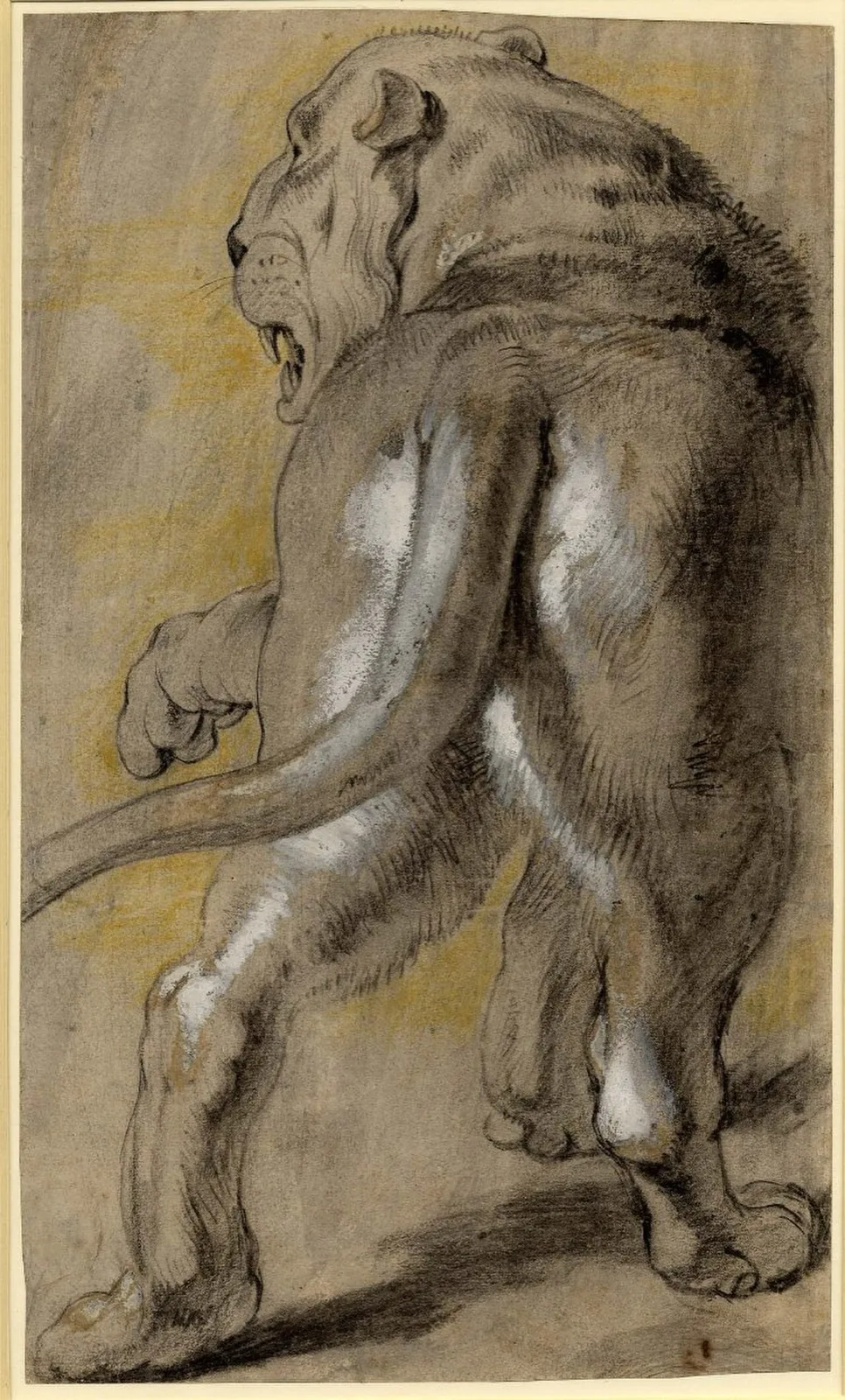 Lion (No. 3)