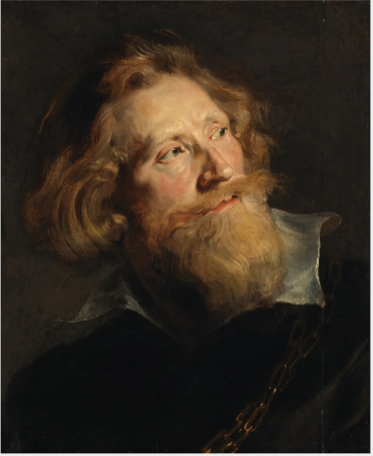 Head of a Bearded Man