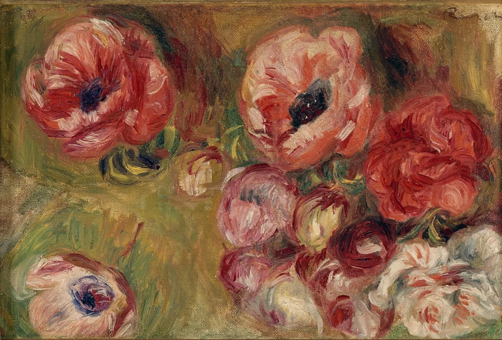 Les anémones