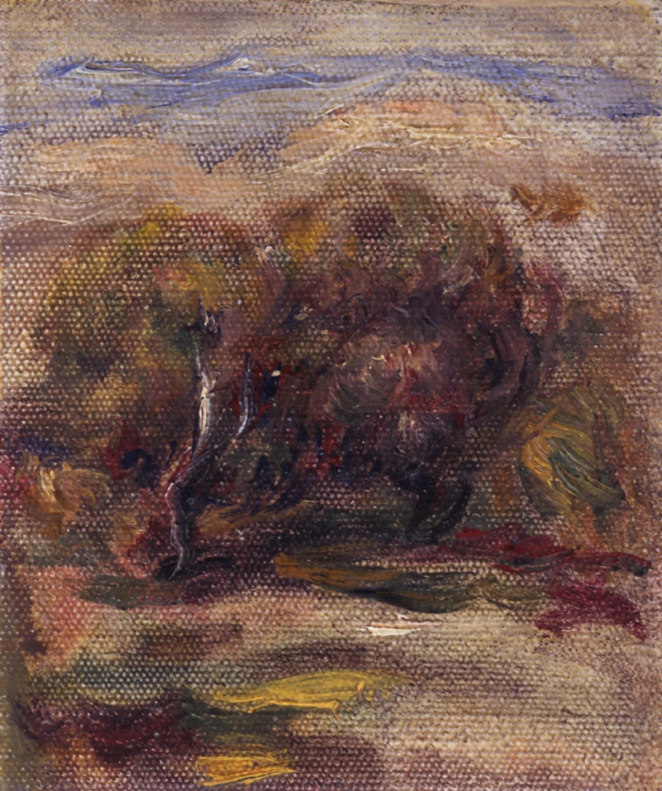 Les oliviers à Cagnes-sur-Mer