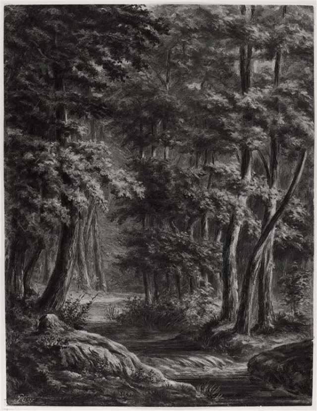 Woods with stream
