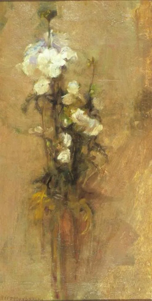 White phloxes
