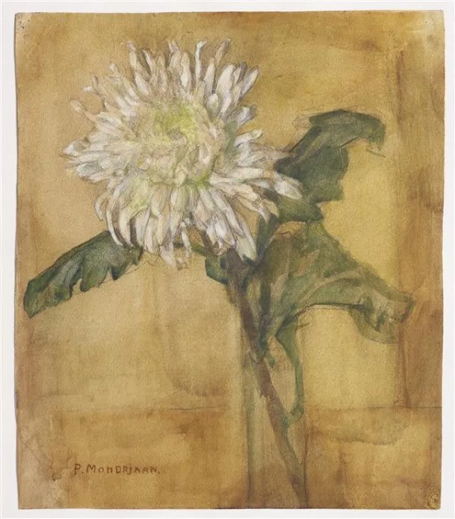 Chrysanthemum in a tube vase