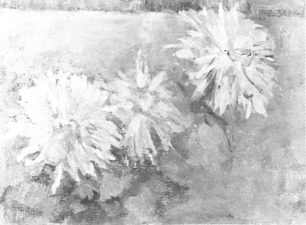 Three chrysanthemum blossoms
