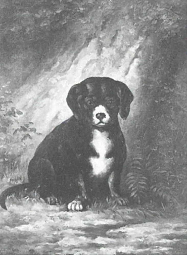Puppy