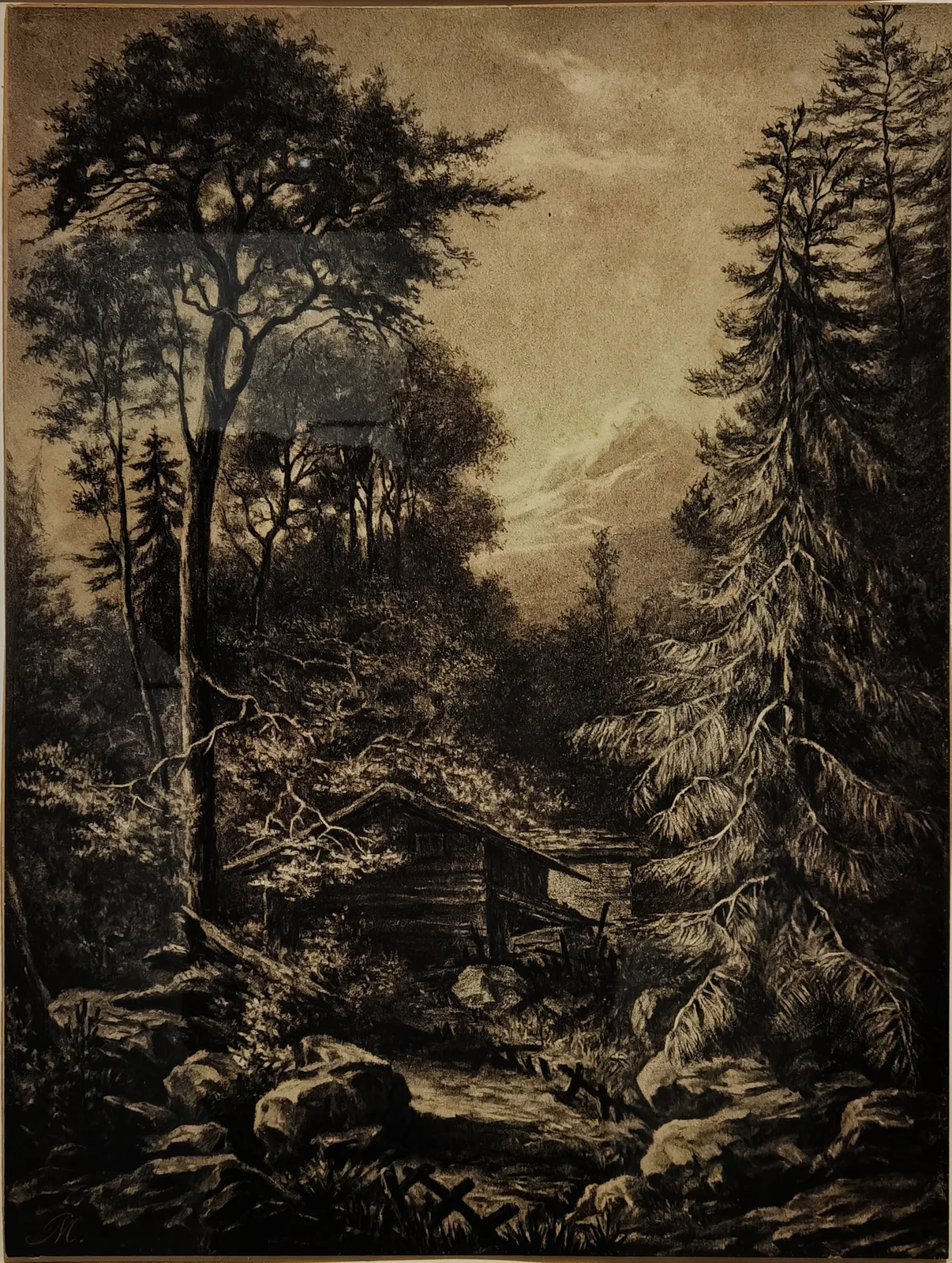 Mountain forest with cottage