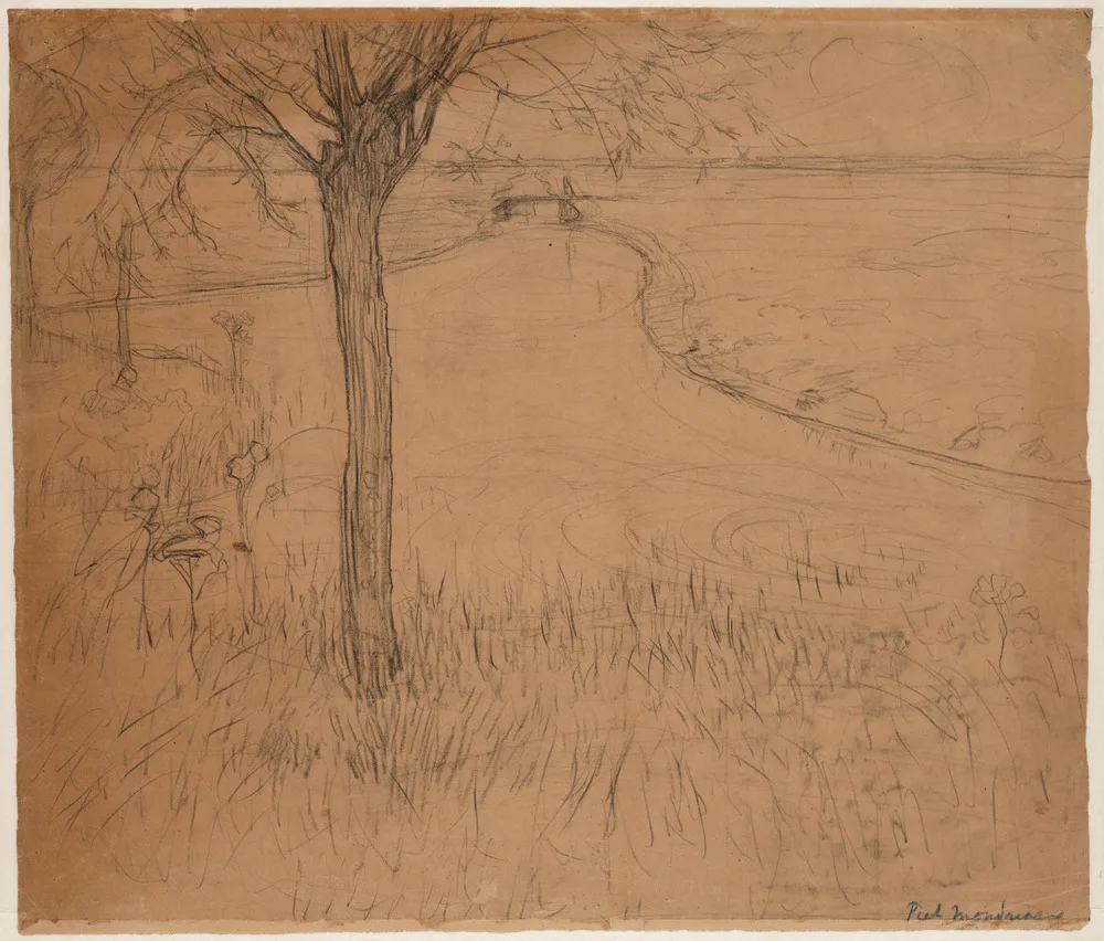 Irrigation ditch with young pollarded willow III