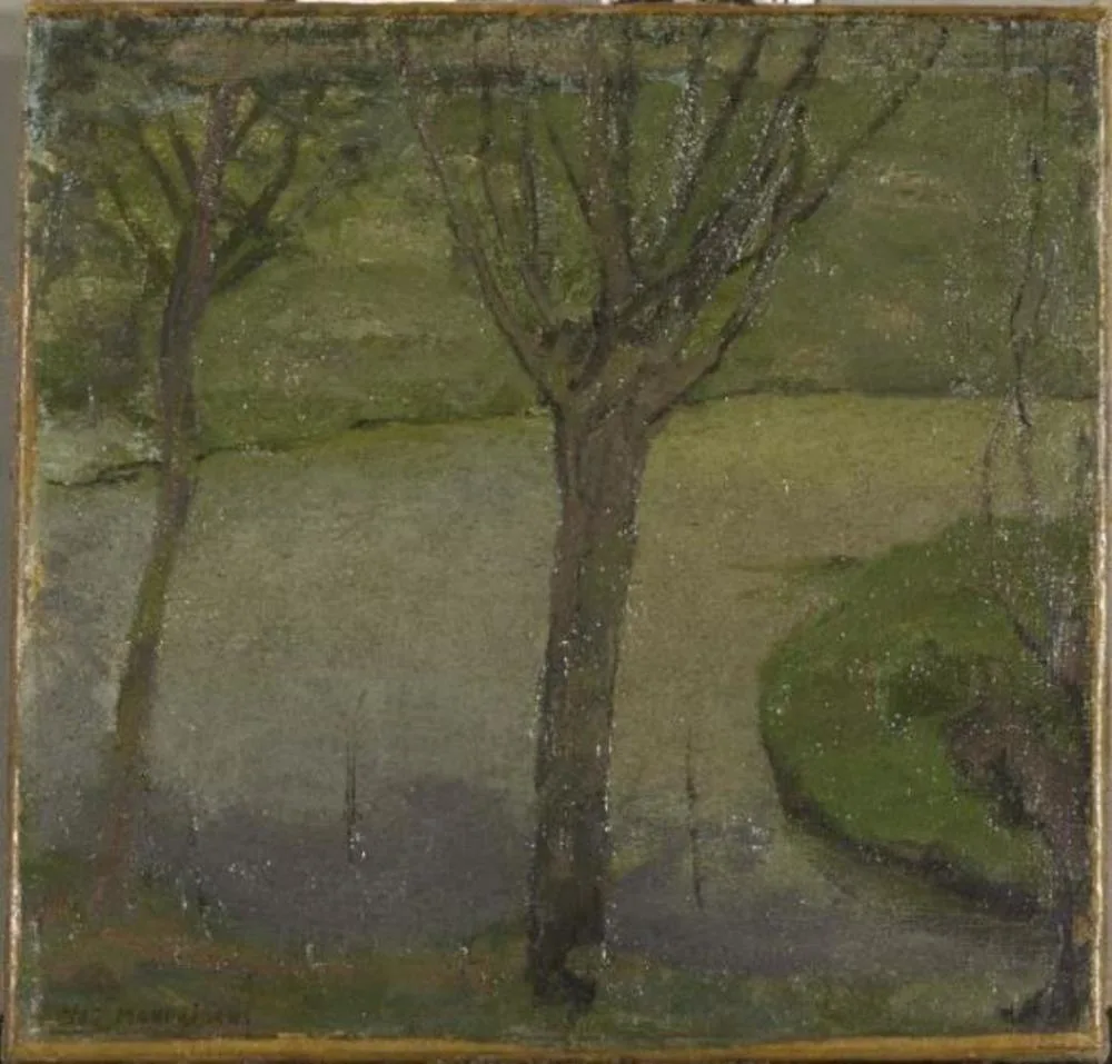 Irrigation ditch with two willows