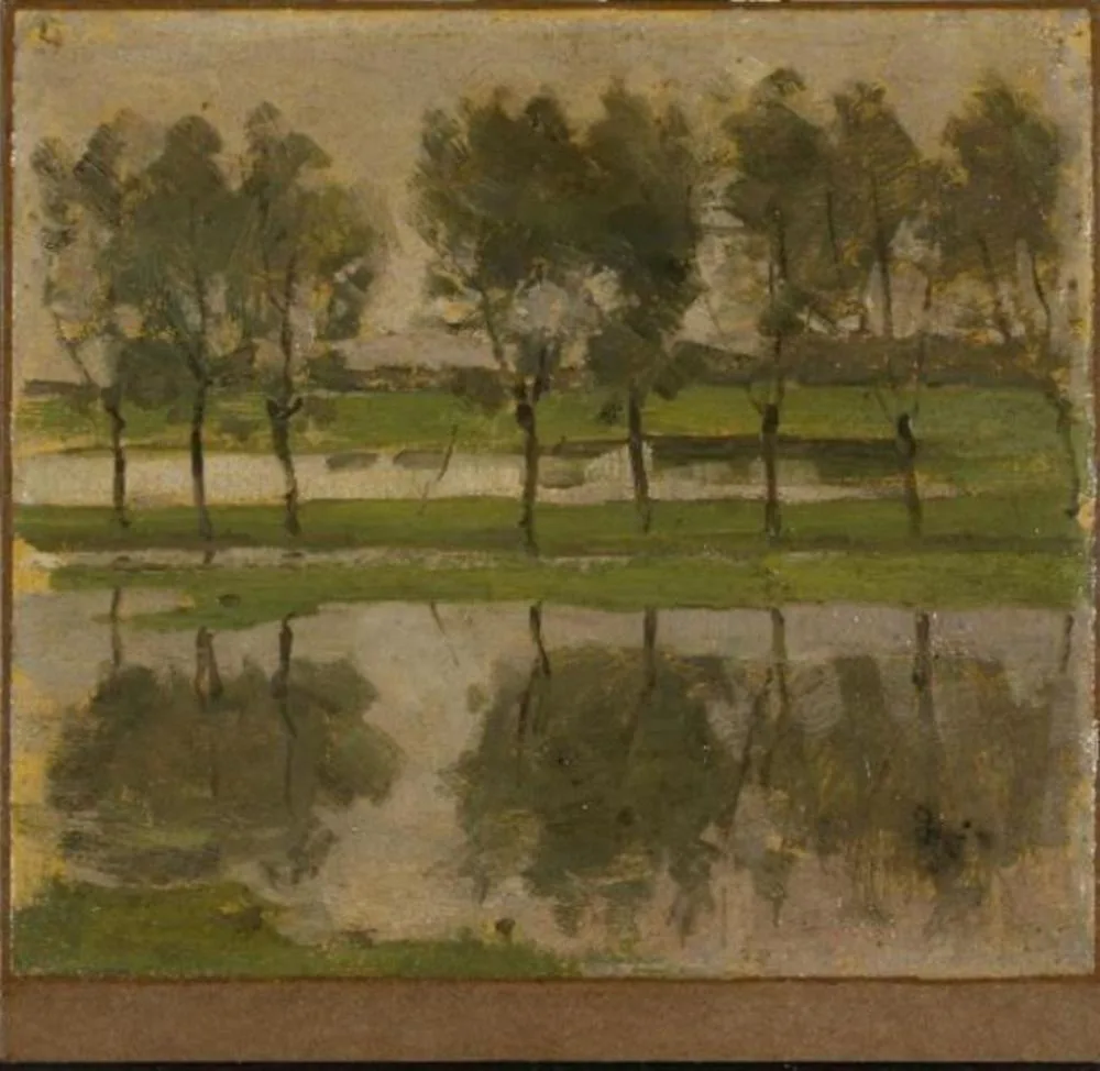 Row of eight young willows reflected in the water