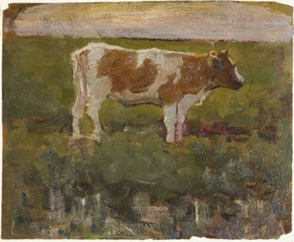 Brown and white heifer