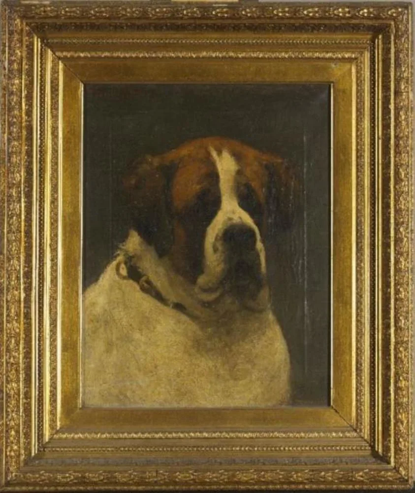 Isar Harlemia: a Saint Bernard