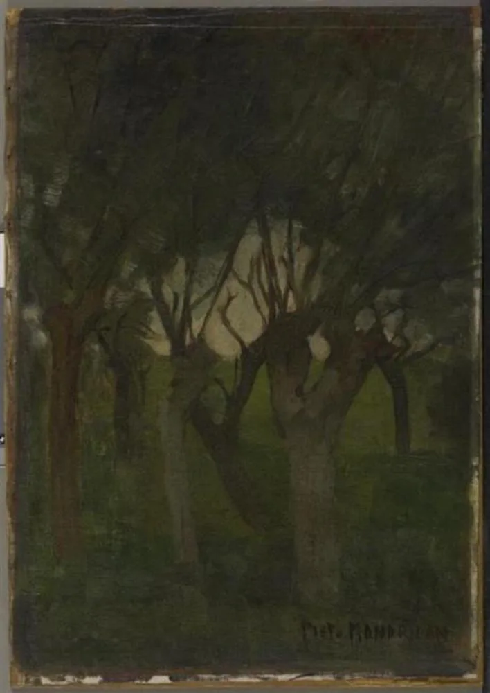 Willow grove with flattened images