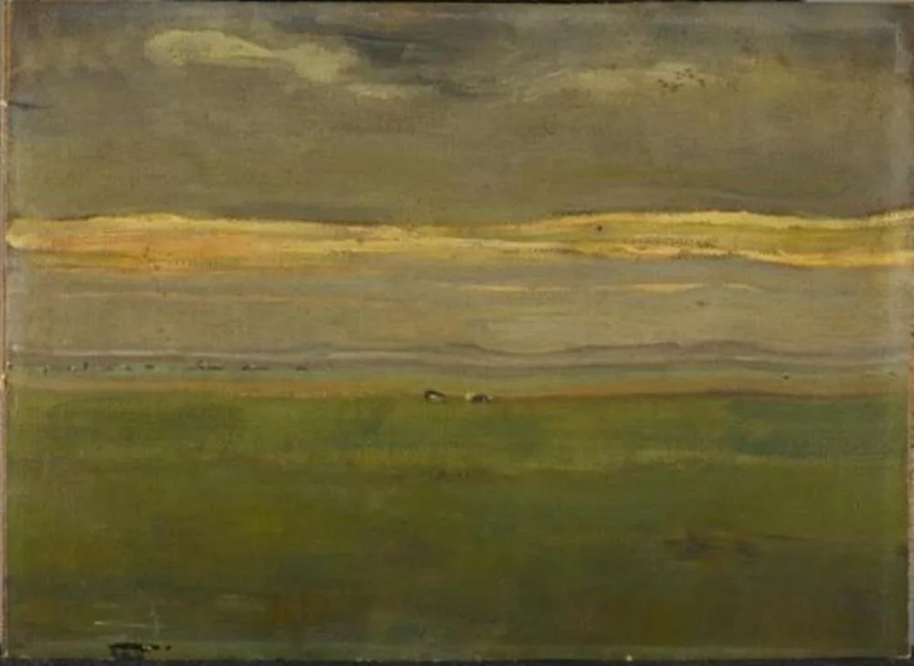Evening landscape with cows