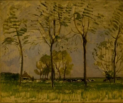 Farm setting, four tall trees in the foreground I