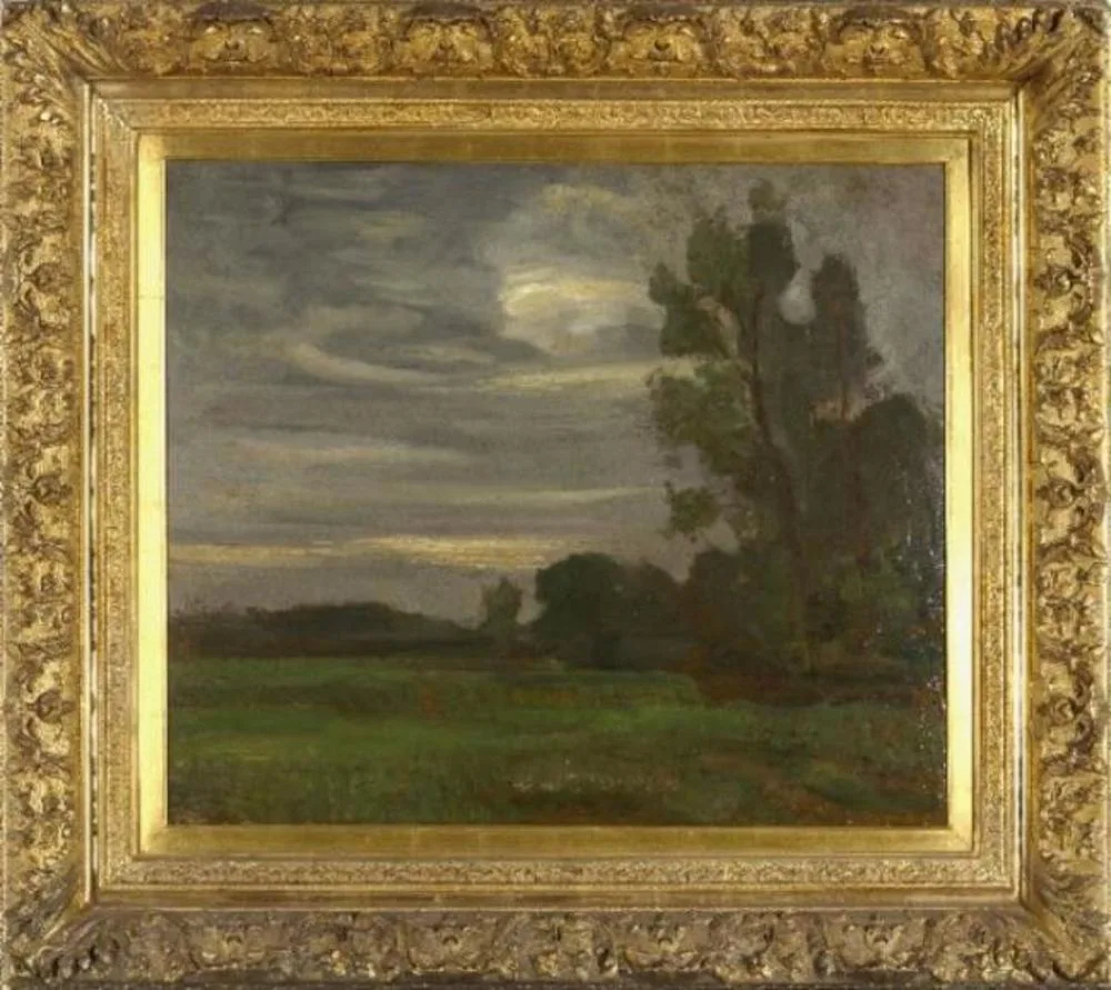 Field with tree silhouette at right