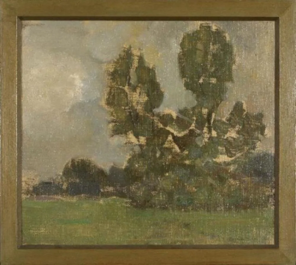 Field with two tree silhouettes II