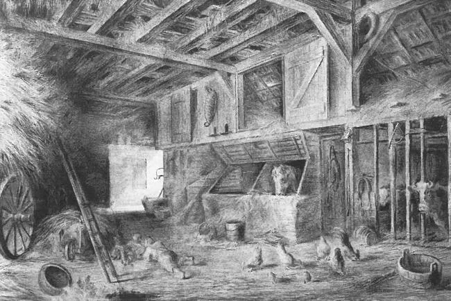 Barn interior in the Eastern Netherlands