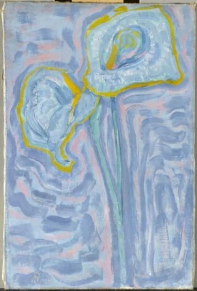 Arum lilies
