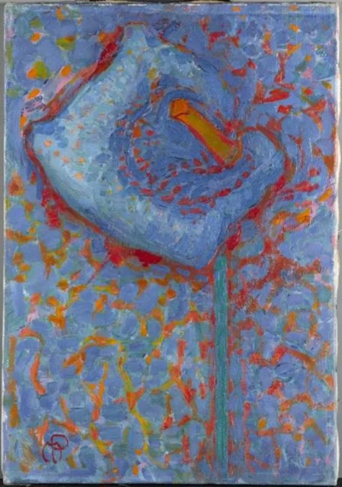 Arum lily (No. 1)