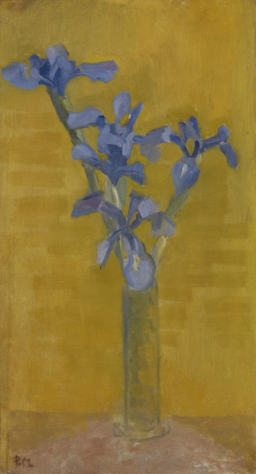 Blue irises against an orange background