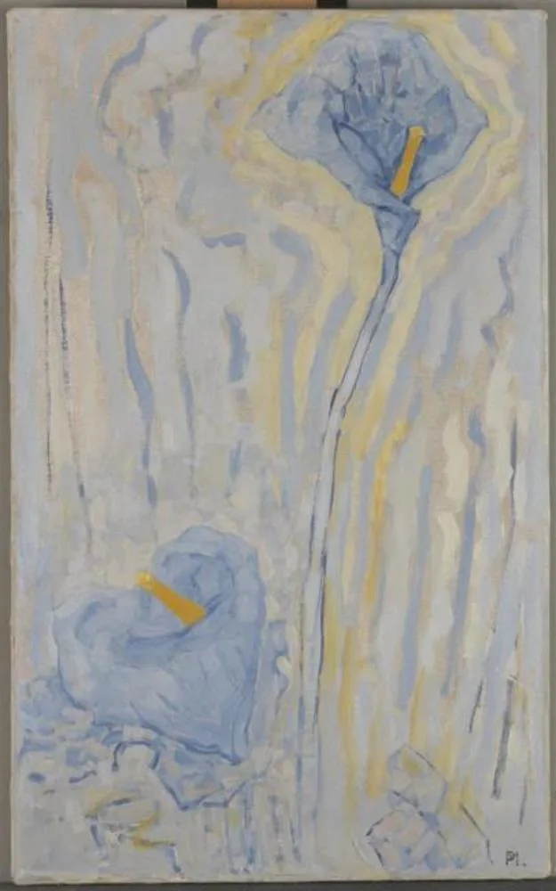 Two arum lilies (No. 2)