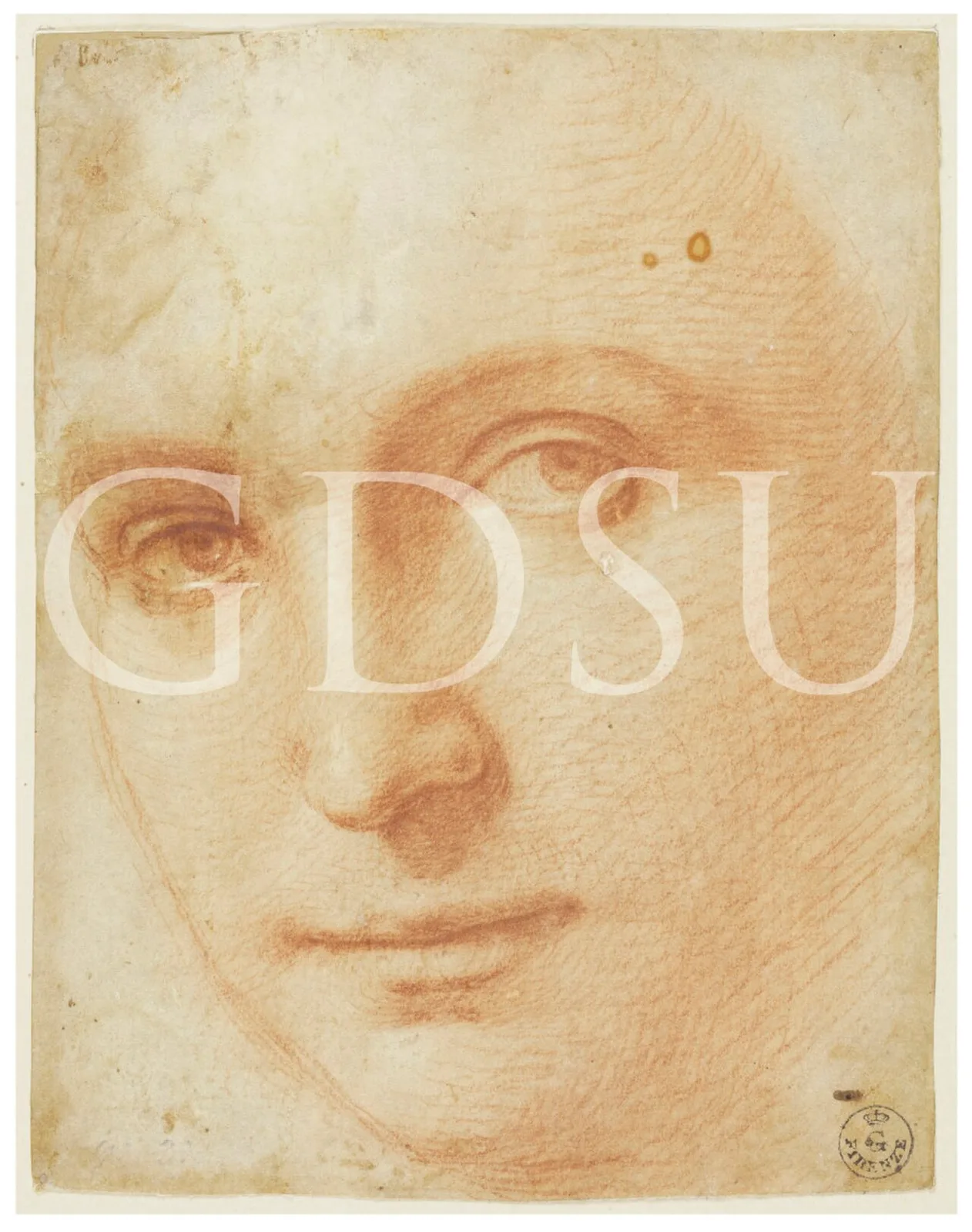 Drawing by Raffaello (Uffizi, F)