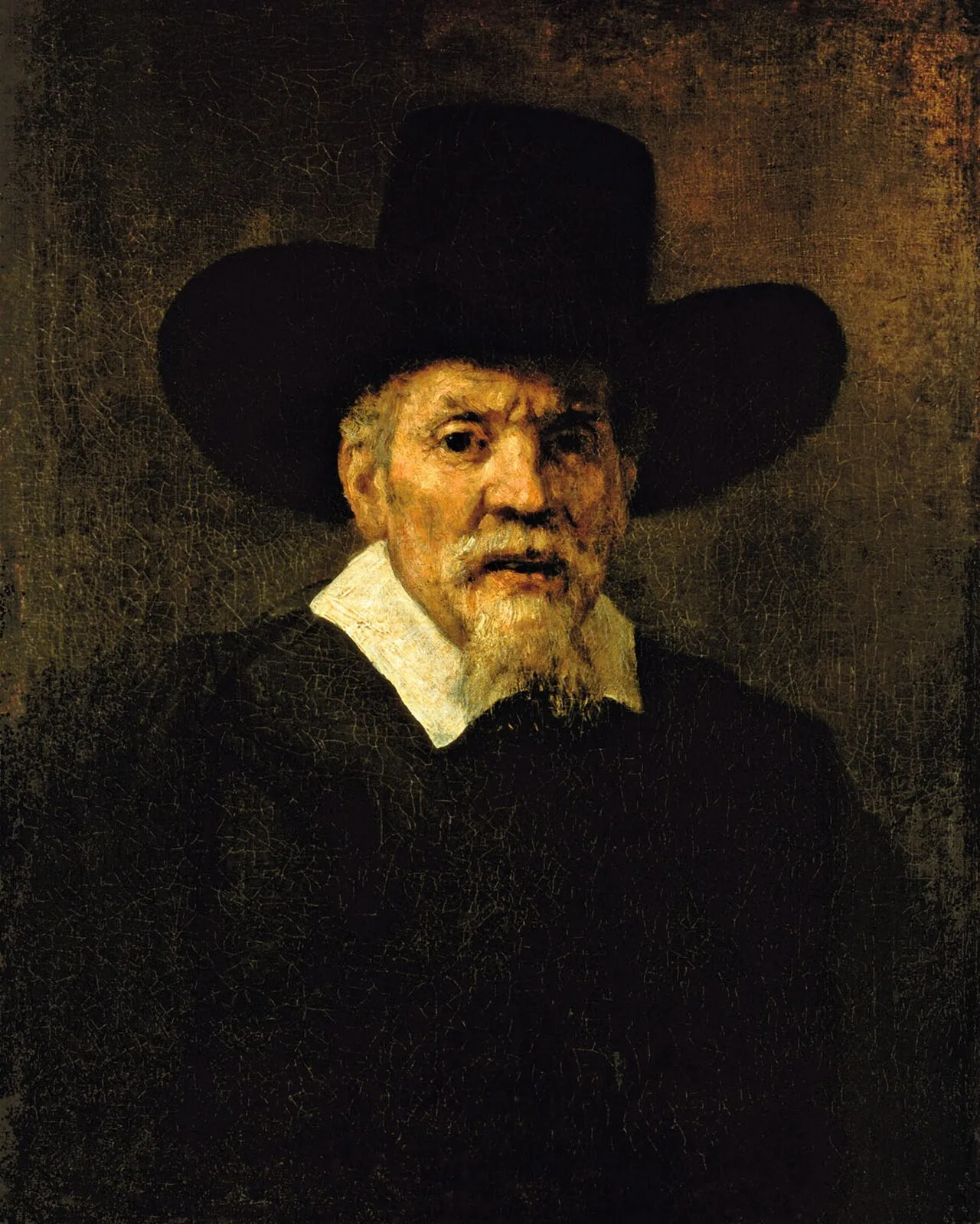 Portrait of a Man, possibly Arnout Tholincx