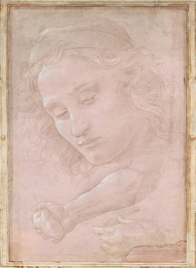 Head of a Youth Wearing a Cap; a Right Forearm with the Hand Clutching a Stone; and a Left Hand Holding a Drapery