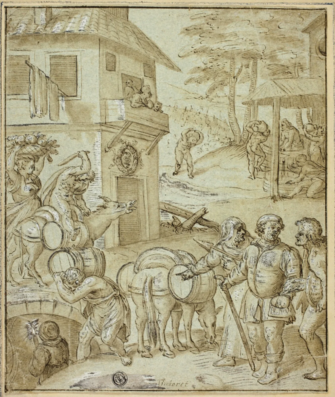 Wine Harvest