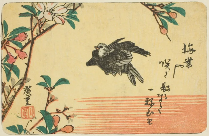 Cherry and sparrow