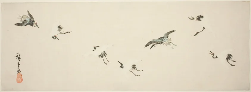 Cranes in flight
