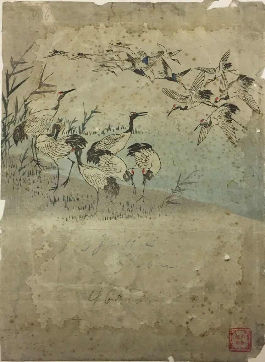 Herons Among Grasses