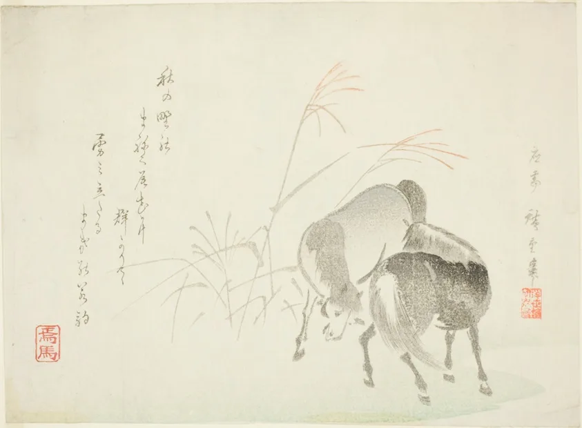 Horses and grasses