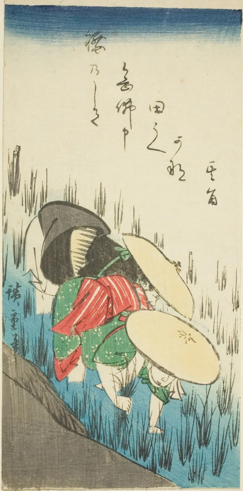 Planting rice