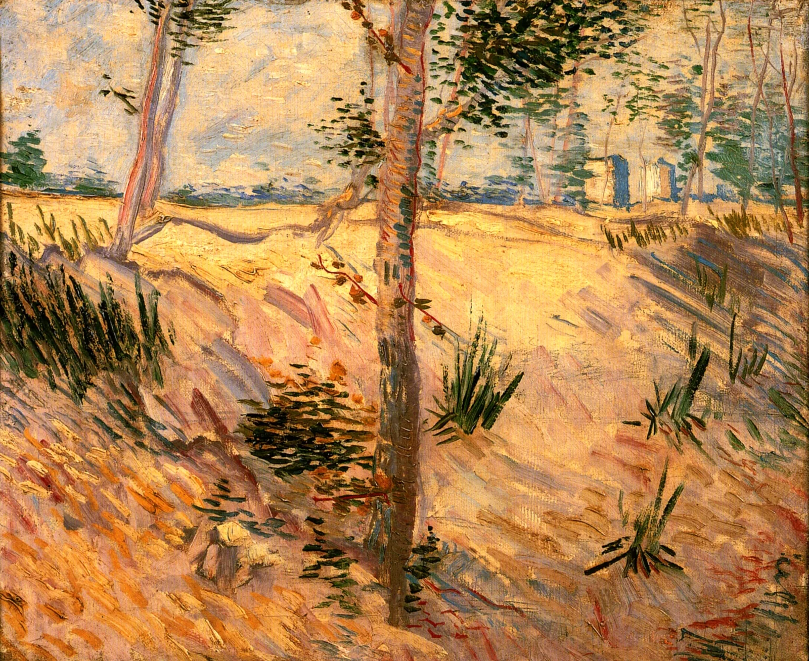 Trees in a field on a sunny day