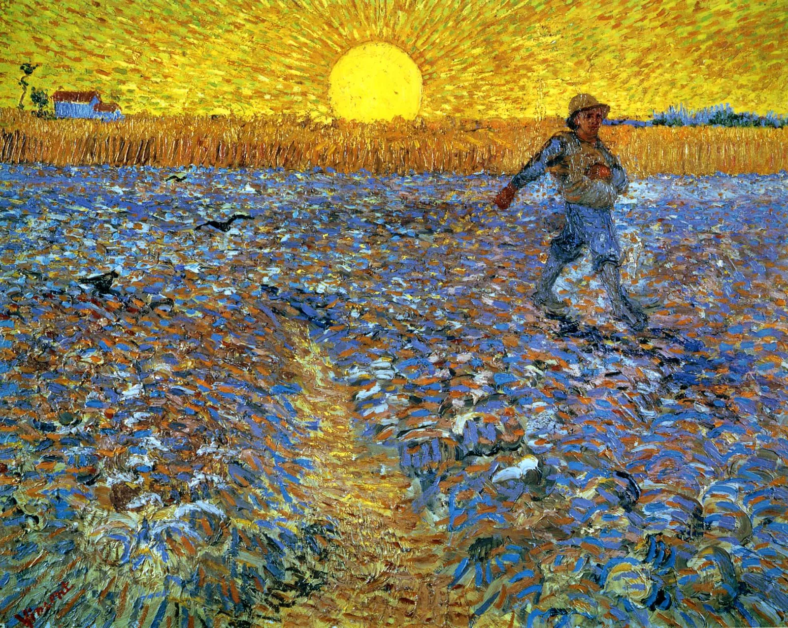 The sower