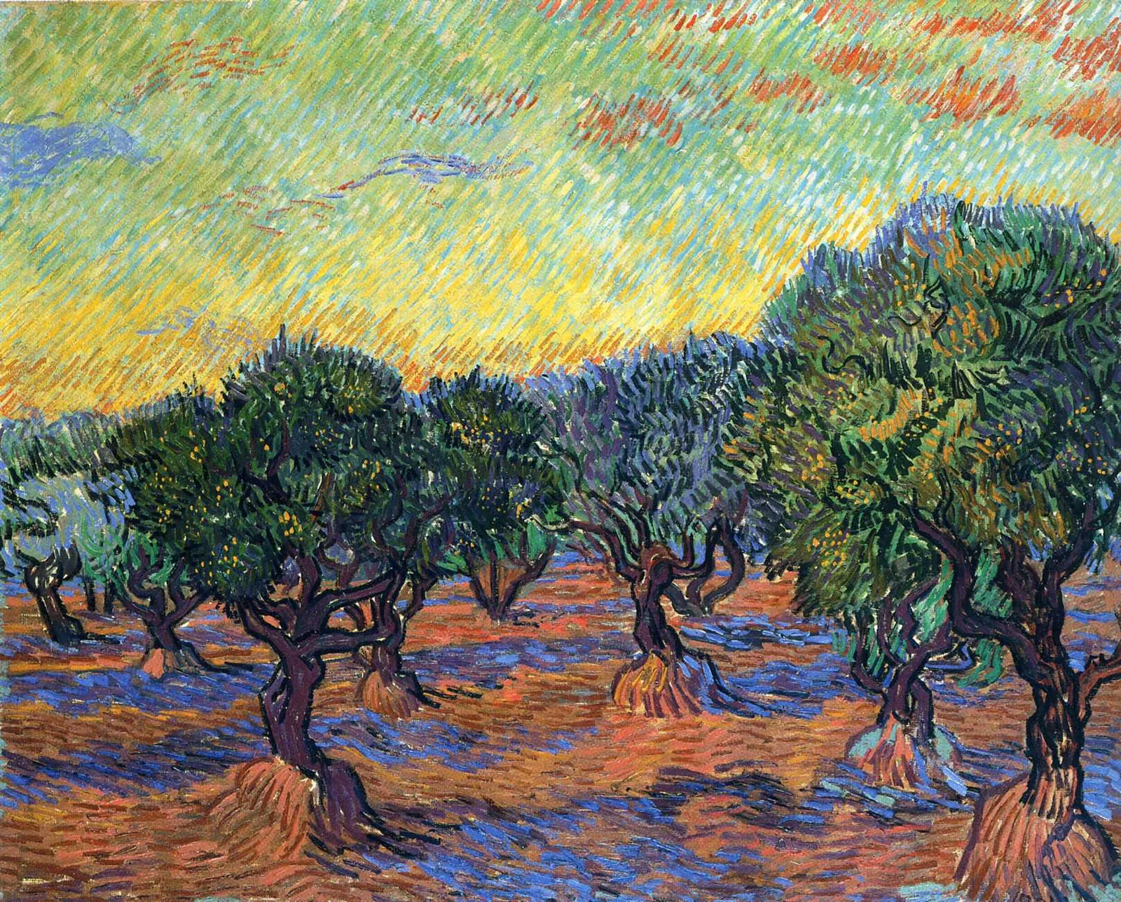 Olive yard: orange sky