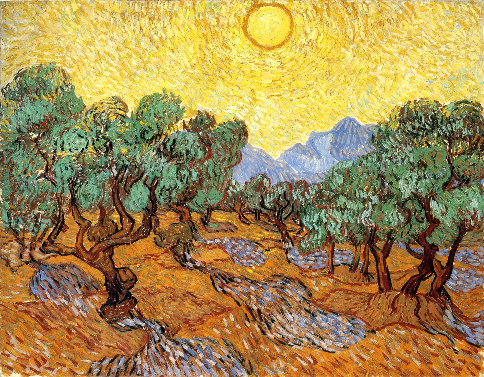 Olive trees: yelow sky with sun