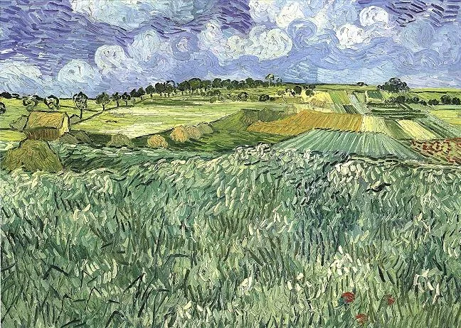 The plain with farm near Auvers