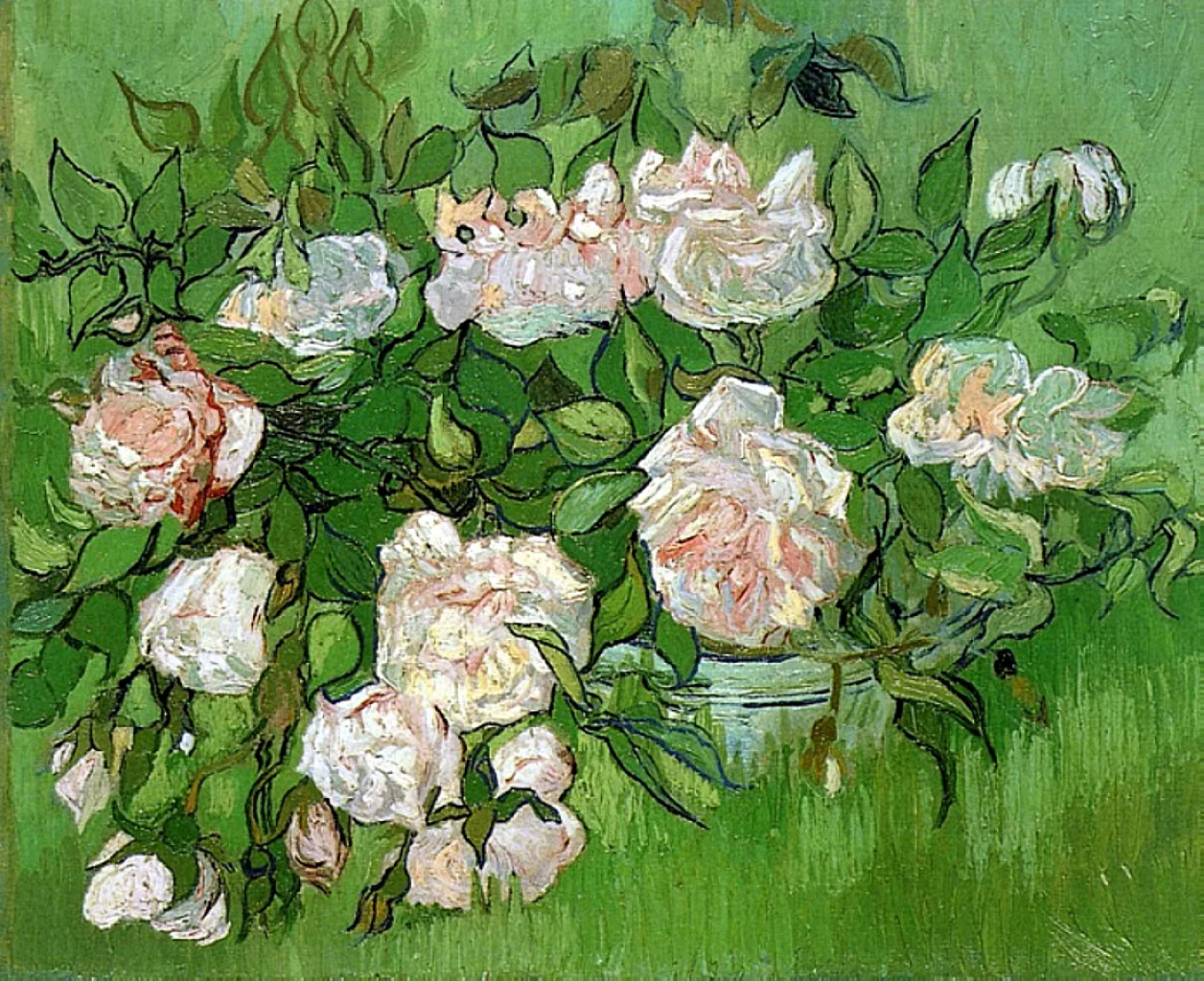 Still life: pink roses